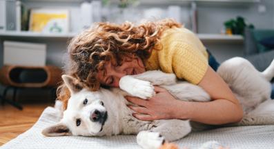 куче щастливо вкъщи