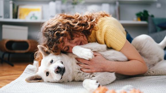 куче щастливо вкъщи