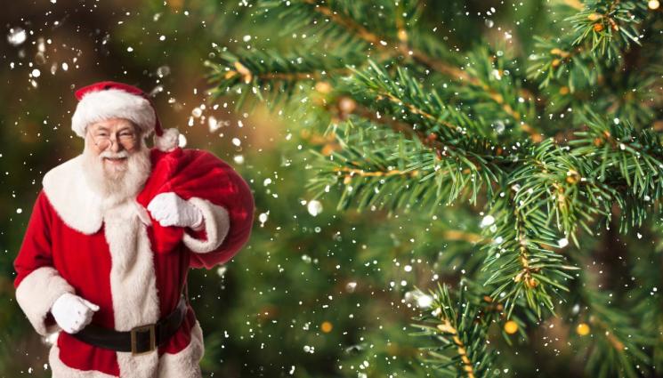 коледа - ТЪРСАЧКАТА КИПИ: Българинът реди Коледа отрано! (СНИМКИ)