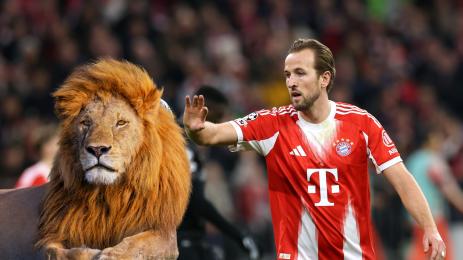 Байерн Хари Кейн