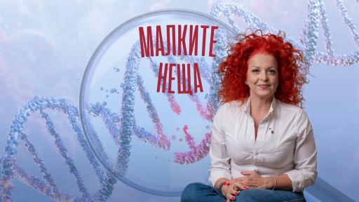 <p>Коледно чудо или кутия на Пандора? Какво ще ти разкаже твоето ДНК</p>