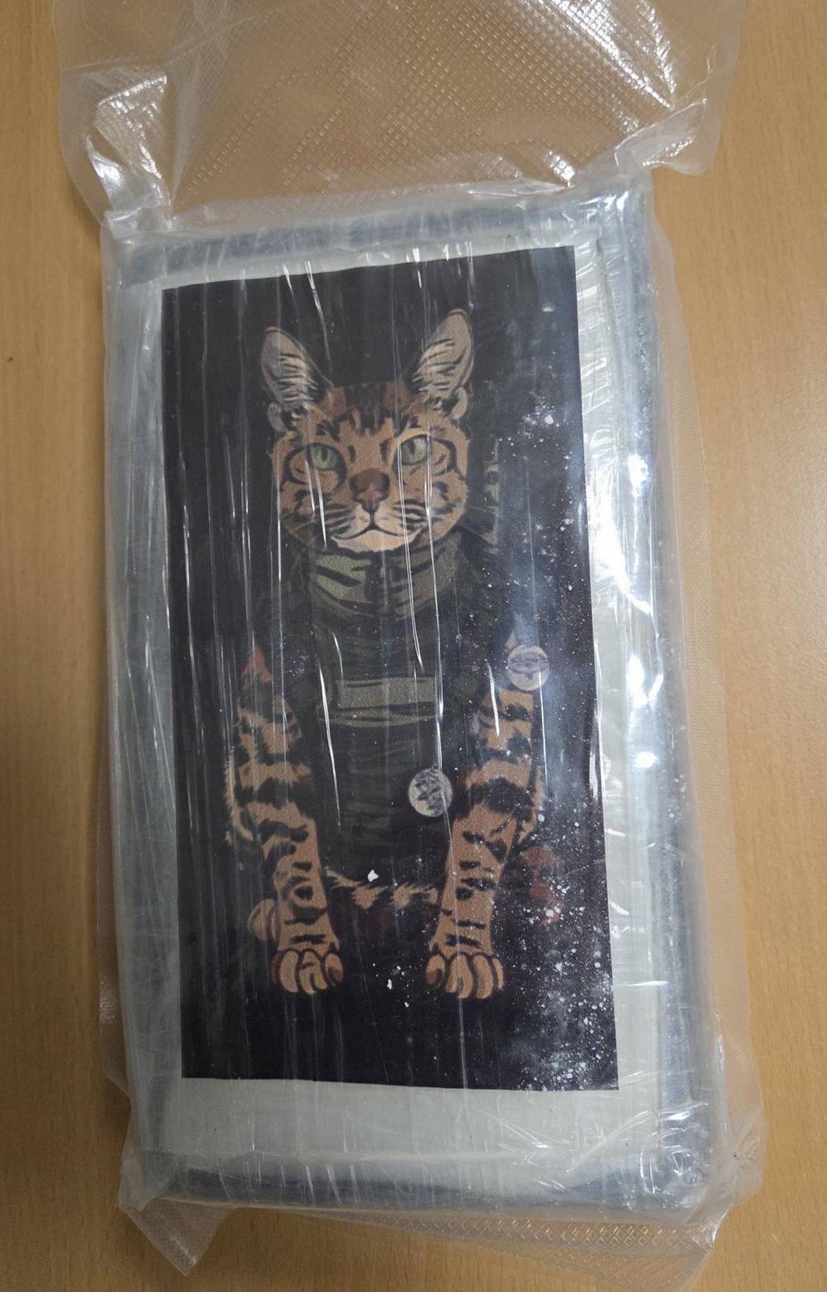 Сърджан Шошкич