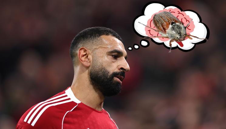 Мохамед Салах - Ван Бастен изригна: Салах има мозък на майски бръмбар