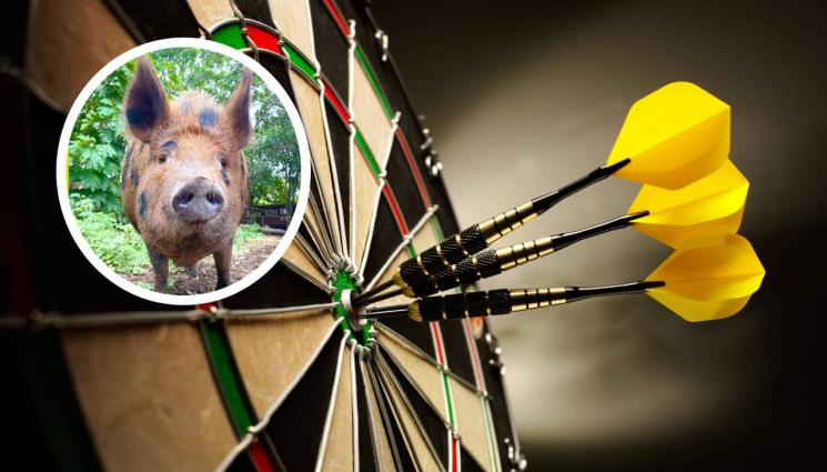 дартс - Прасе гадател показа кой ще е световен шампион (ВИДЕО)