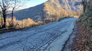 свлачище Асеновград