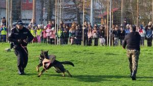 полицейско куче Варна