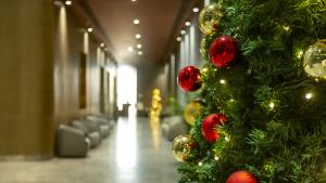 Хотел Коледа