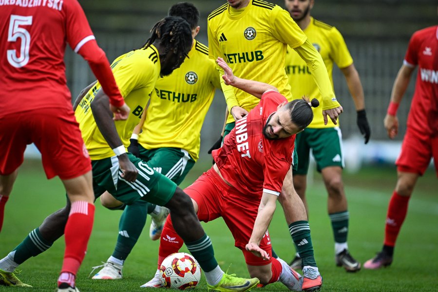 Добруджа Ботев Враца1