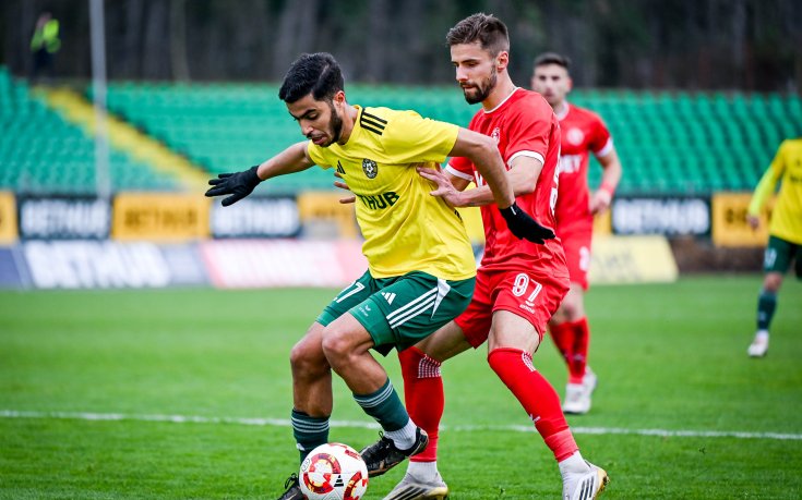 Галерия: Добруджа - Ботев Враца