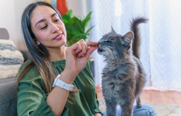 Жена дава награда на котка