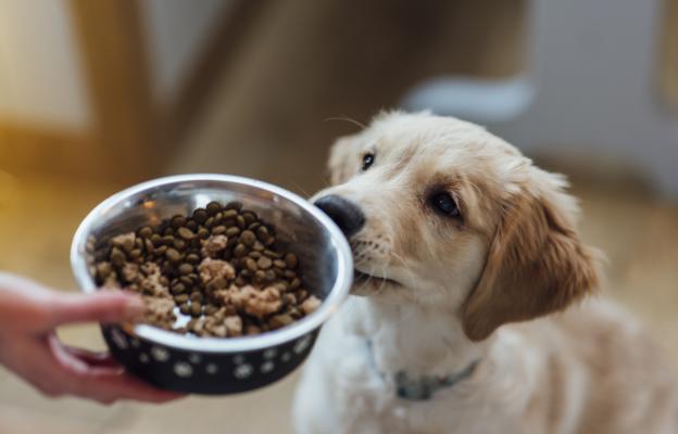 куче гранули