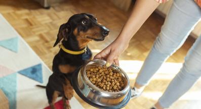 куче гранули