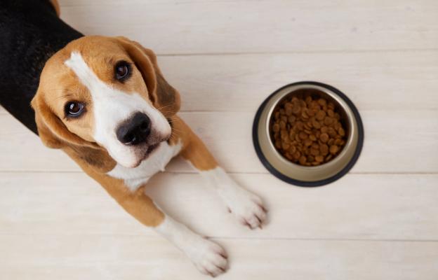 куче гранули