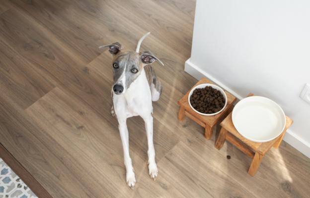 куче гранули