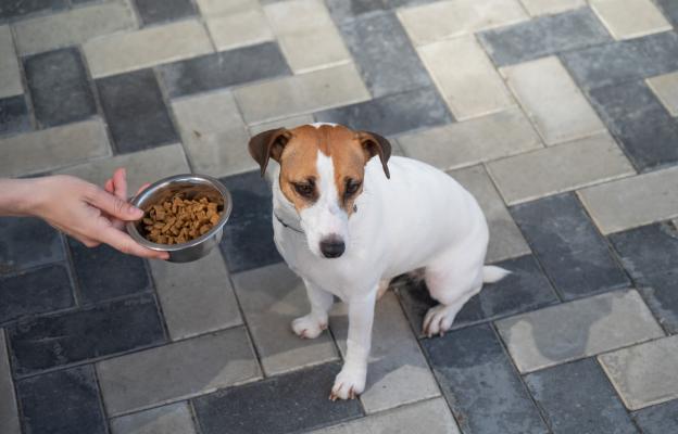 куче депресия