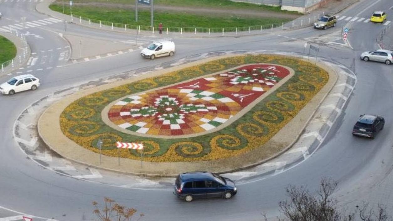 Кръстовище в Стара Загора оживя с многоцветна мозайка от растения