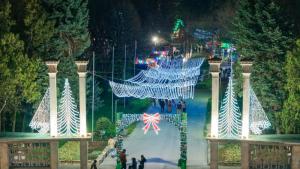 Шумен Коледна Украса