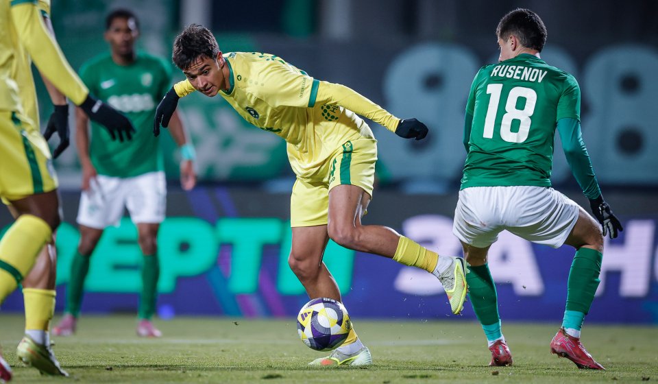 Берое Лудогорец1