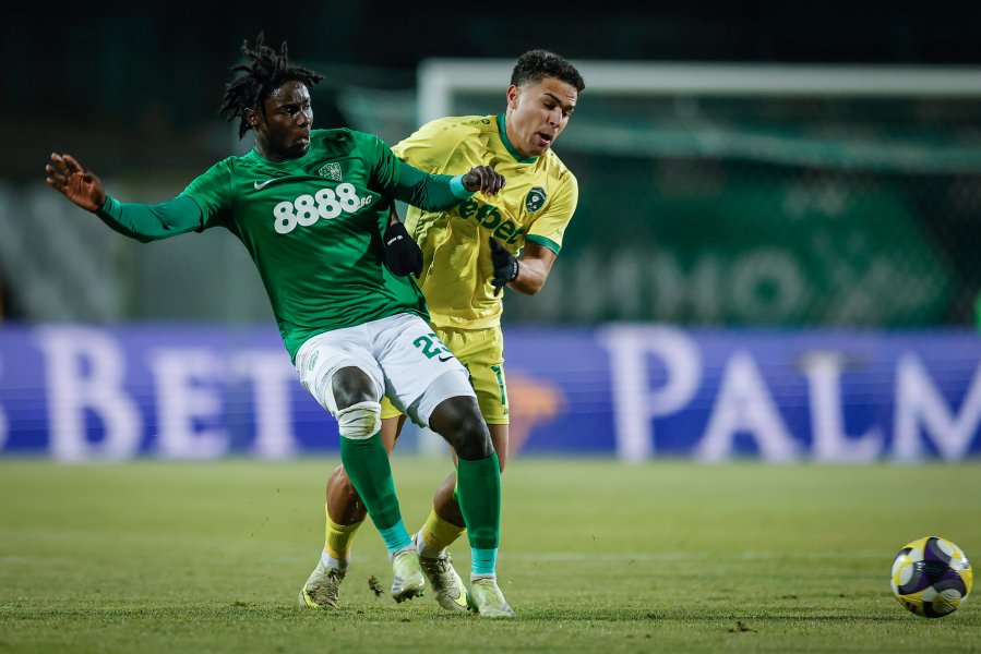 Берое Лудогорец1