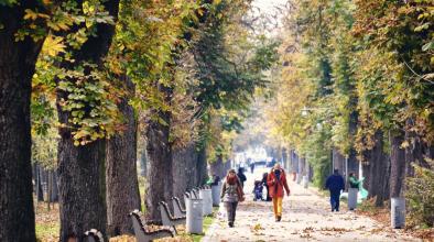 разходка парк