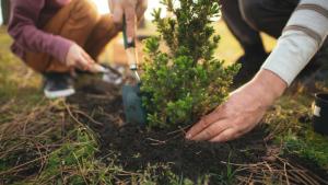 Съдът в италианския град Акуила област Абруцо отхвърли жалбата на