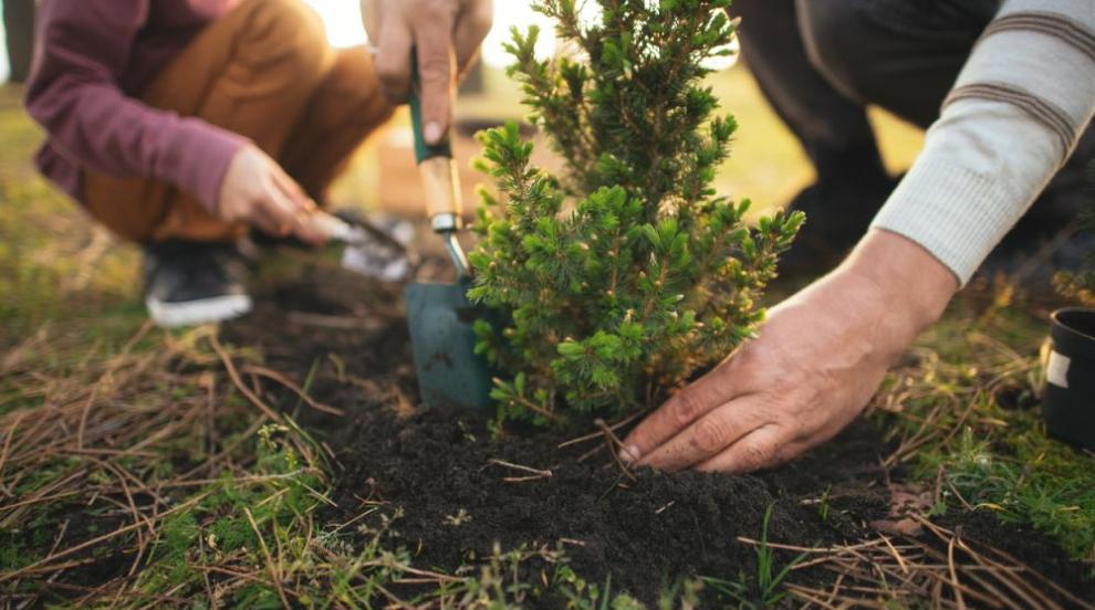 „Новата гора на София“ стартира в Банкя на 28 март