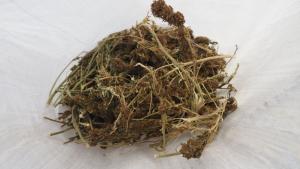 Мъж на 29 години е бил задържан по главния път