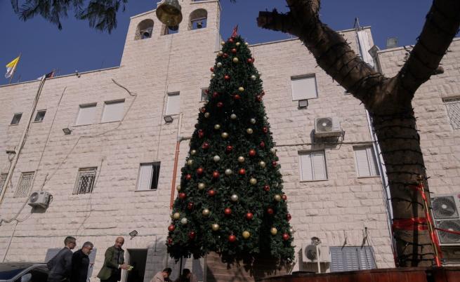 Палеж на коледна елха пред католическа църква на Западния бряг, има задържани