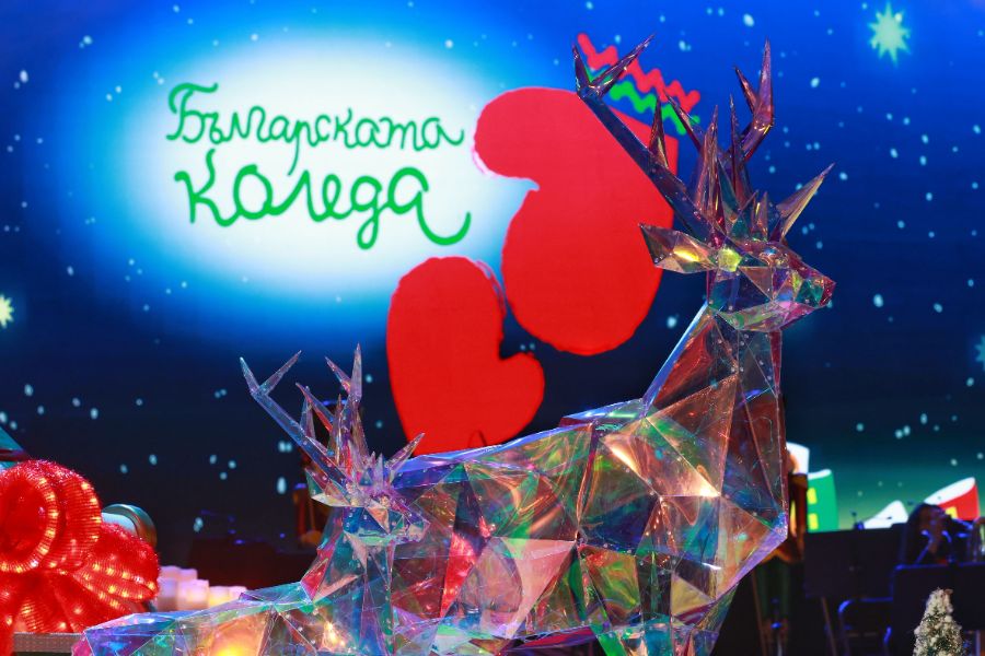 <p>Благотворителният концерт &bdquo;Българската Коледа&ldquo; и тази година събра на едно място обичани български изпълнители и млади музикални таланти. Концертът се провежда за 23-та поредна година и е под патронажа на президента Румен Радев и съпругата му Десислава Радева.</p>