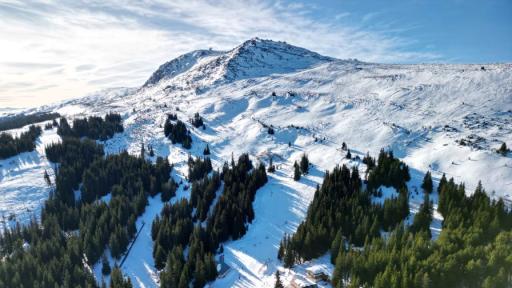 <p>Спасиха изгубили се във Витоша туристи</p>