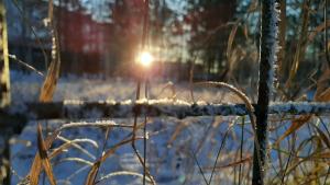 Днес ще преобладава слънчево време над източните и планинските райони