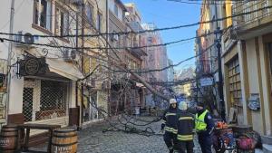 Бурният вятър нанесе щети в Пловдив  Паднали клони затрудниха движението по