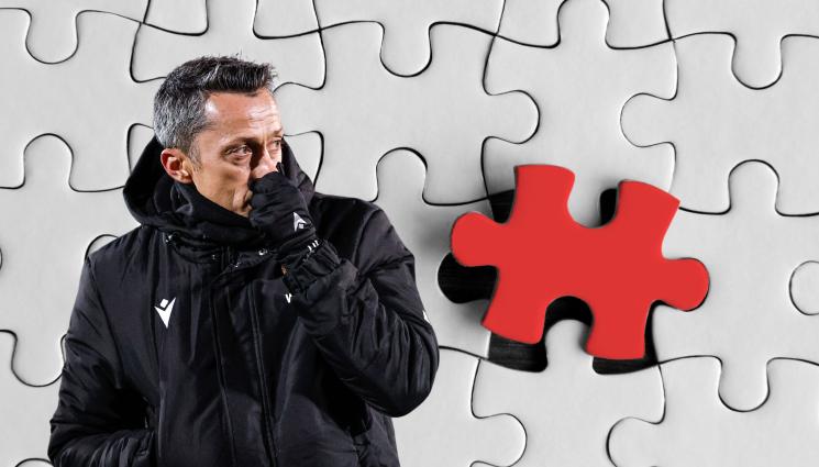 Христо Янев - Пъзелът на Христо Янев започва да се нарежда