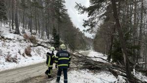 Пловдив вятър щети