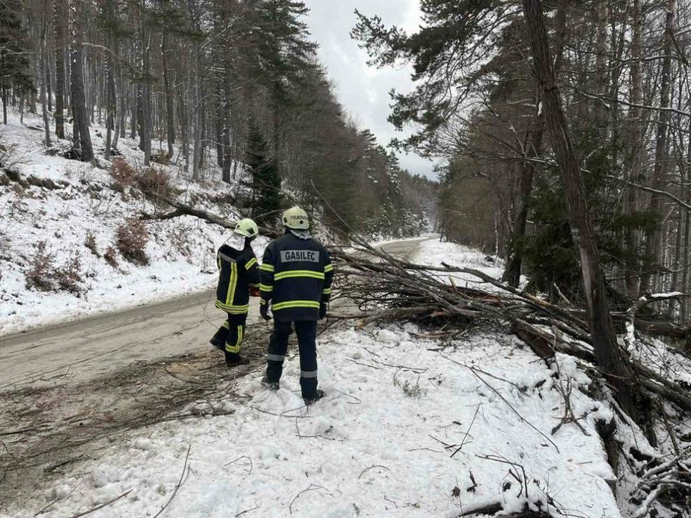 Натоварено денонощие за огнеборците и спасителите в Пловдивско, след като поривите