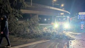 Стара Загора сигнали вятър