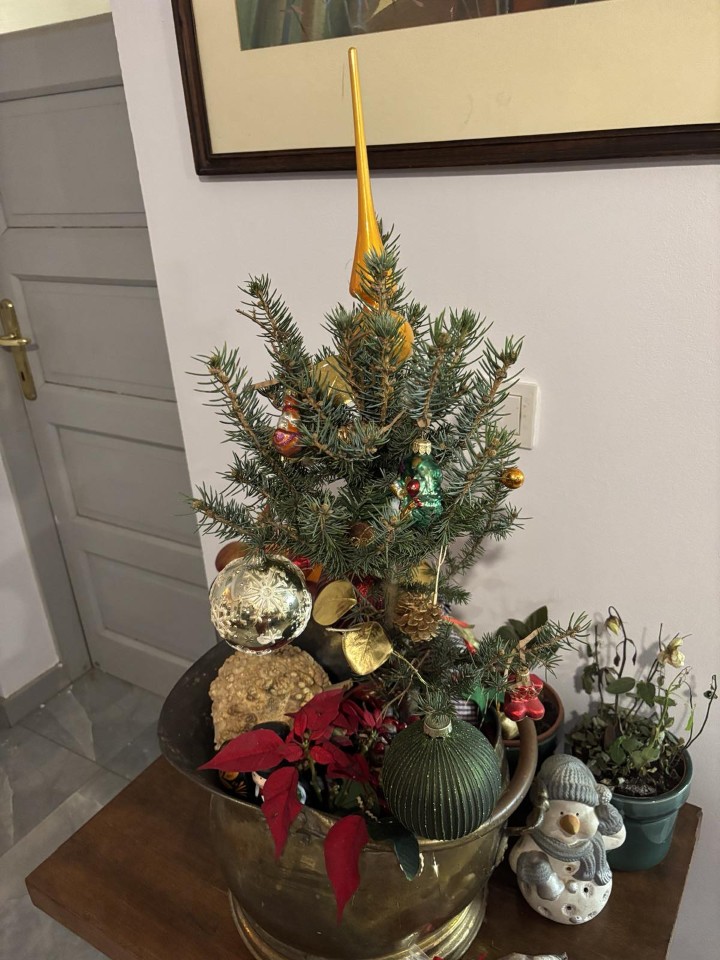 <p>Смислени отпечатъци за финал на годината и начало на следващата</p>