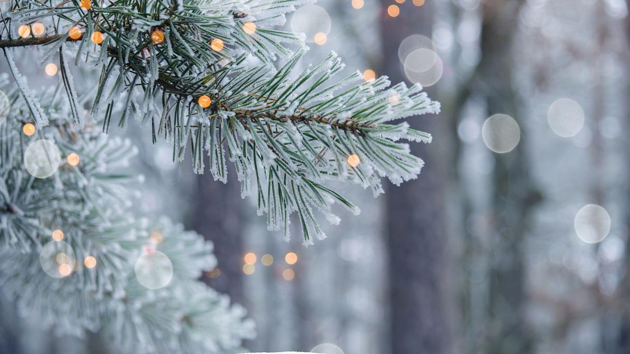 Илюстративна снимка