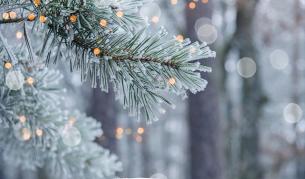 Леденостудена новогодишна нощ ни очаква