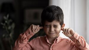 Силният шум от фойерверките мигащите лампички и празничната суета могат