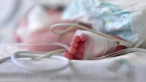 бебе болница