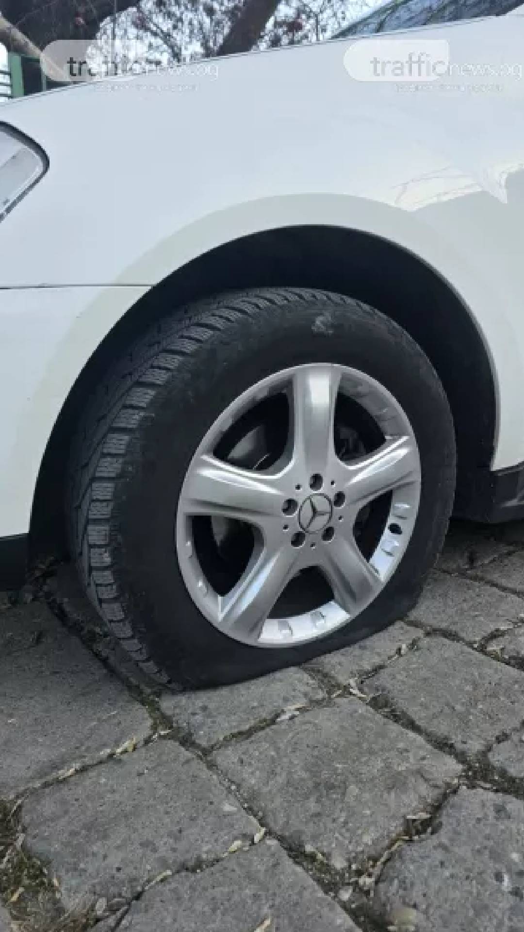 Ренгинар Мустафова