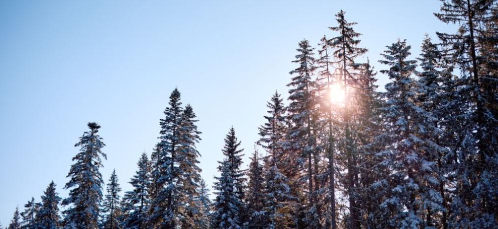 Днес ще е предимно слънчево, но по-късно през деня от