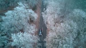 Десетки камиони и коли се оказаха блокирани вчера на заледения