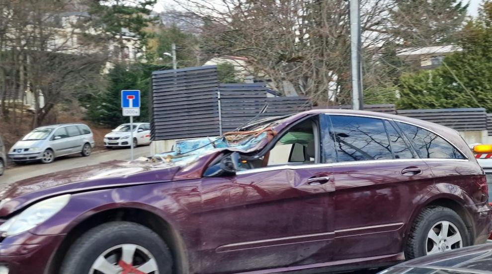 V gorovju Vitoša padlo drevo na avtomobil in ubilo žensko