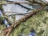 Снимката е илюстративна