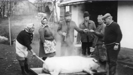 Колене на прасе