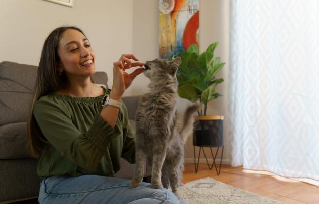 Котка яде лакомства