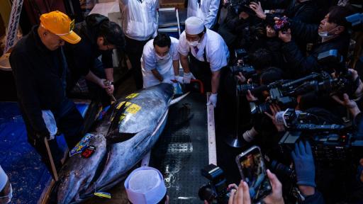 Зрелище за милиони: Търг за риба тон в Япония