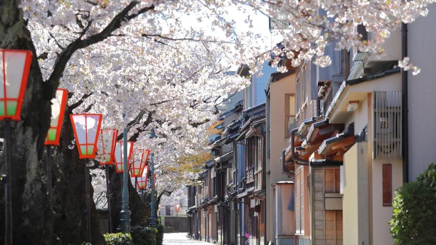 Експерти обявиха кои дестинации да посетим през 2026 г.